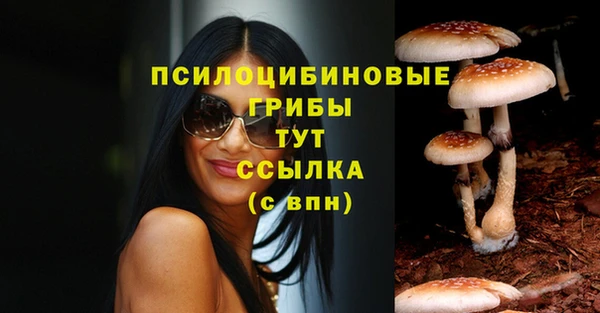 твердый Алзамай