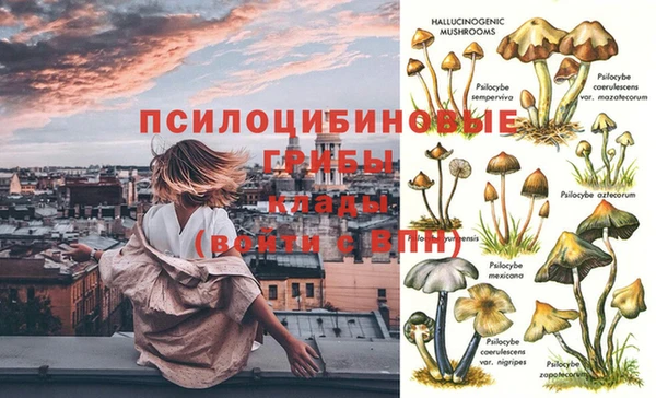 твердый Алексеевка